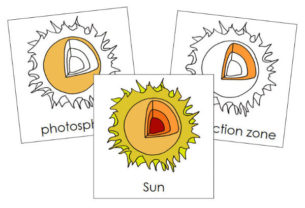 Parts of the Sun Nomenclature Cards - Montessori Print Shop Digital Download