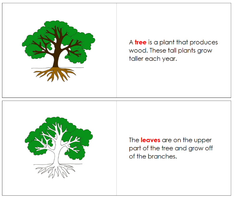Montessori Tree Nomenclature Definition Set - Montessori Print Shop Digital Download nomenclature