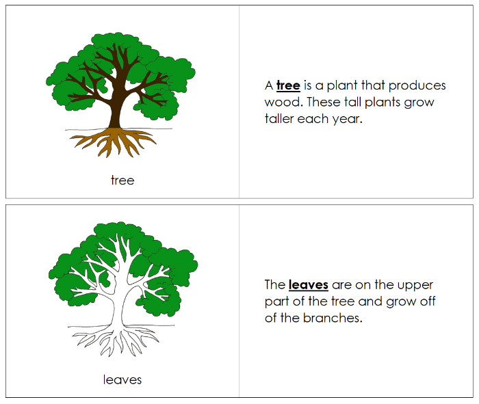 Parts of a Tree Nomenclature Book - Montessori Print Shop Digital Download