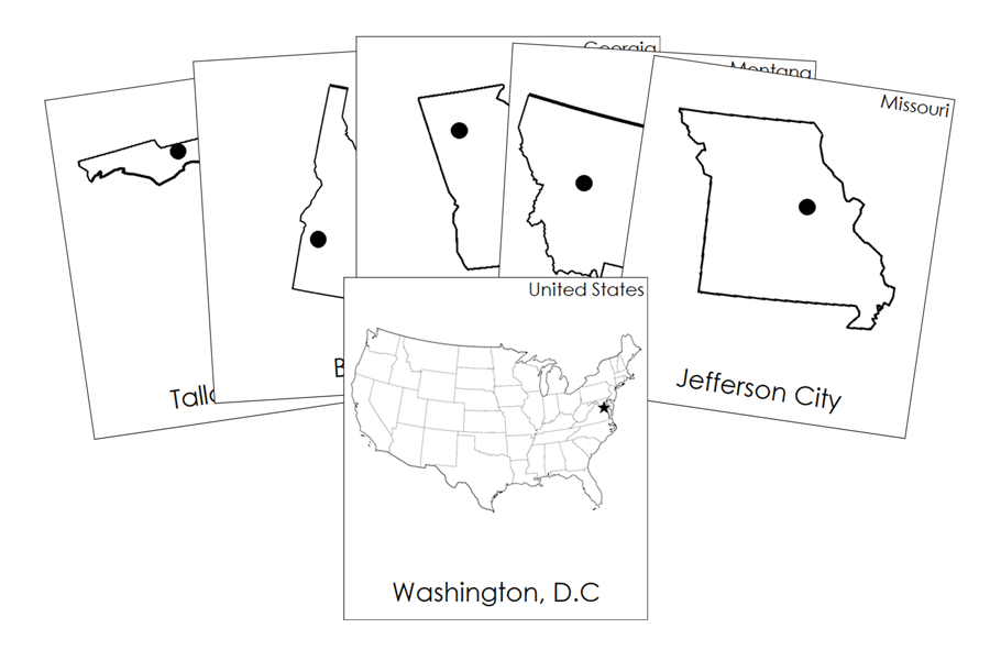 Capital Cities of the United States of America 3-Part Cards by Montessori Print Shop