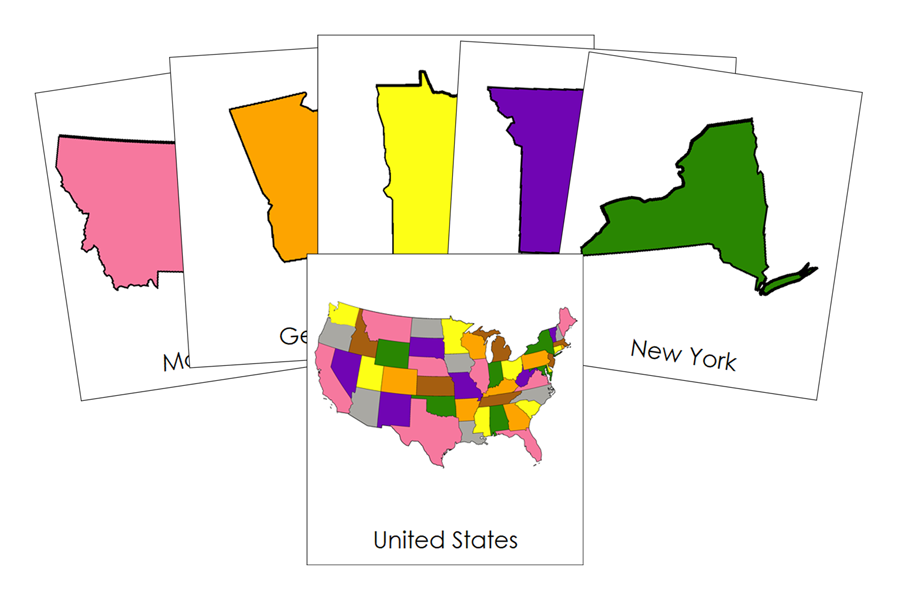 States of the USA 3-Part Cards (color-coded) by Montessori Print Shop