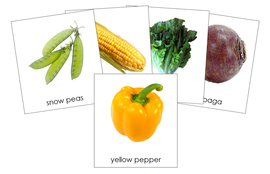 Types of Vegetables 3-Part Cards by Montessori Print Shop