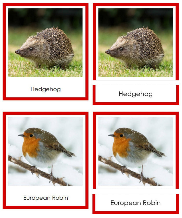 Vertebrates of Europe Sorting Lesson (color borders) - Montessori Print Shop Digital Download