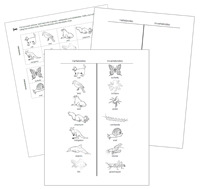 Vertebrates and Invertebrates Sorting Cut & Paste (Blackline Masters) - Montessori Print Shop Digital Download