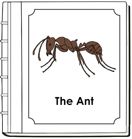 Parts of an Ant Nomenclature Book (red) - Montessori Print Shop Digital Download