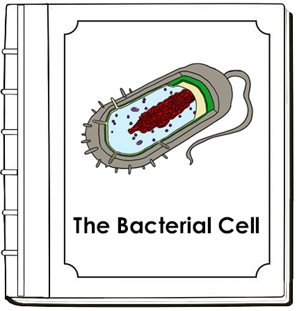 Parts of a Bacterial Cell Nomenclature Book - Montessori Print Shop Digital Download