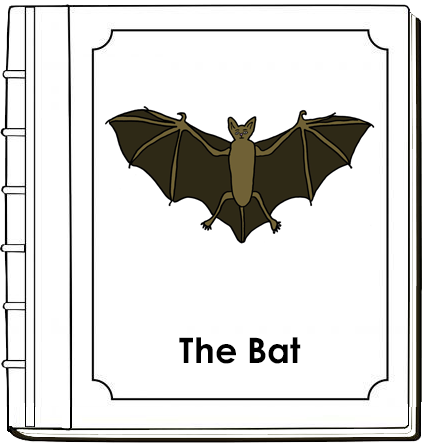 Parts of a Bat Nomenclature Book (red) - Montessori Print Shop Digital Download