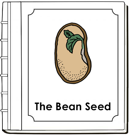Parts of a Bean Seed Nomenclature Book (red) - Montessori Print Shop Digital Download