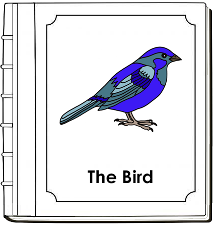 Parts of a Bird Nomenclature Book (red) - Montessori Print Shop Digital Download