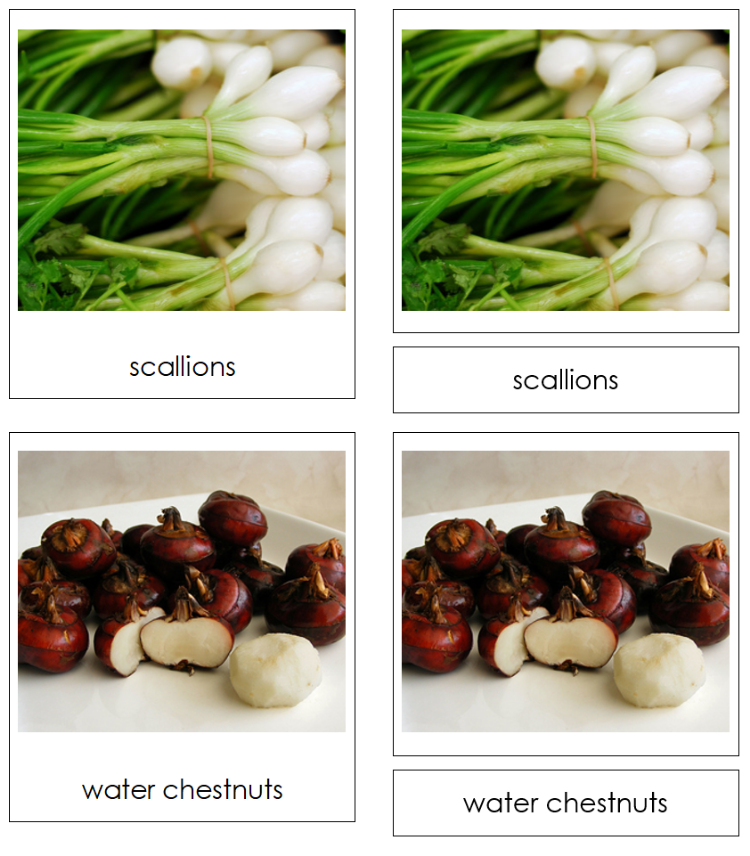 Types of Bulb Vegetables Classified Cards - Montessori Print Shop Digital Download