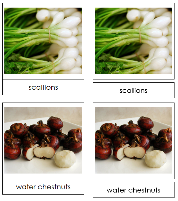 Bulb Vegetable Picture Cards - Montessori Print Shop