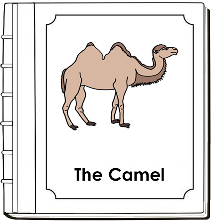 Camel Nomenclature Book (red) - Montessori Print Shop Digital Download