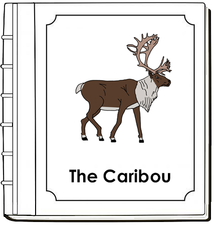 Parts of a Caribou Nomenclature Book (red) - Montessori Print Shop Digital Download