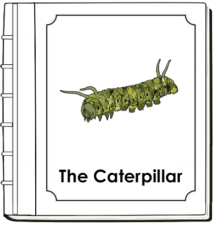 Parts of a Caterpillar Nomenclature Book (red) - Montessori Print Shop Digital Download