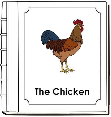 Chicken Nomenclature Book (red) - Montessori Print Shop Digital Download