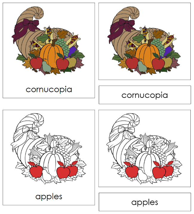 Parts of a Cornucopia 3-Part Nomenclature Cards (red) - Montessori Print Shop Digital Download