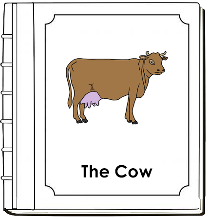 Cow Nomenclature Book (red) - Montessori Print Shop Digital Download