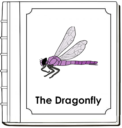 Dragonfly Nomenclature Book (red) - Montessori Print Shop Digital Down