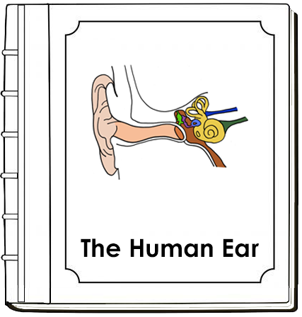 Human Ear Nomenclature Book (red) - Montessori Print Shop Digital Download