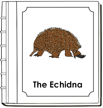 Parts of an Echidna Nomenclature Book (red) - Montessori Print Shop Digital Download