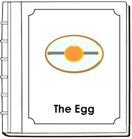 Egg Nomenclature Book (red) - Montessori Print Shop Digital Download