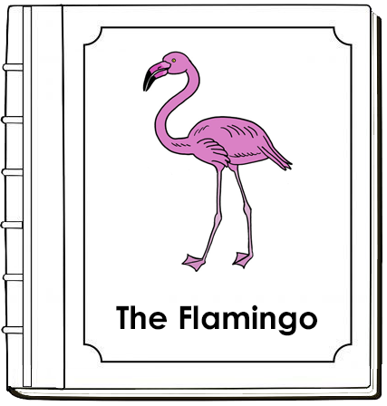 Parts of a Flamingo Nomenclature Book (red) - Montessori Print Shop Digital Download