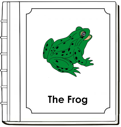 Parts of a Frog Nomenclature Book (red) - Montessori Print Shop Digital Download