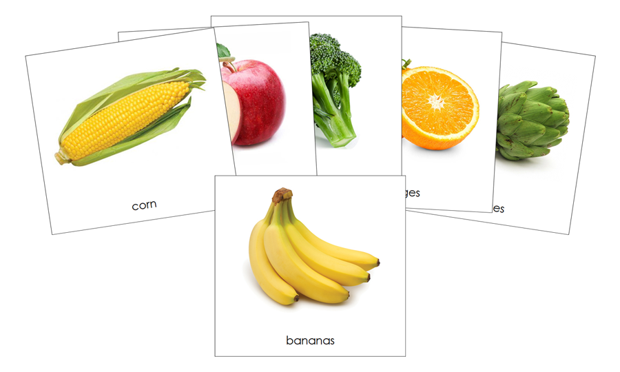 Fruits and Vegetables Safari Toob Cards - Montessori Print Shop