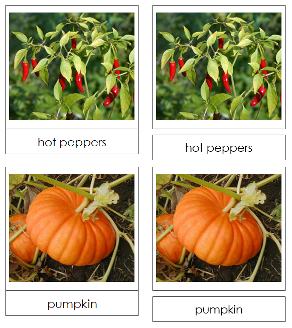 Fruit Vegetable Picture Cards Set 2 - Montessori Print Shop