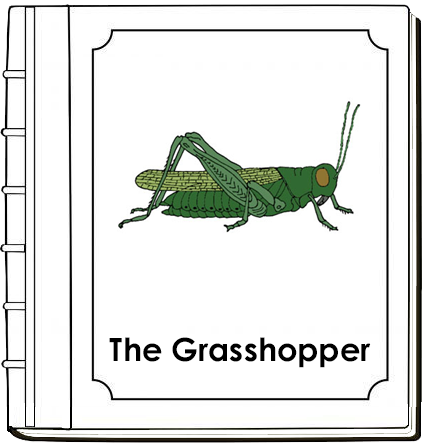 Parts of a Grasshopper Nomenclature Book (red) - Montessori Print Shop Digital Download
