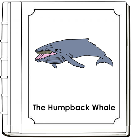 Parts of a Humpback Whale Nomenclature Book (red) - Montessori Print Shop Digital Download