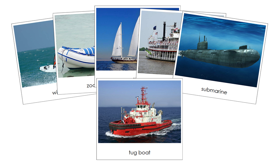 In The Water Safari Toob Cards - Montessori Print Shop