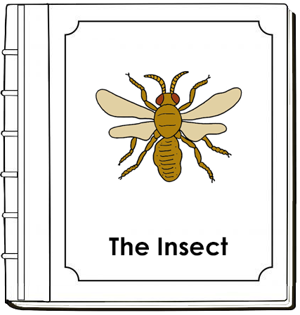 Parts of an Insect Nomenclature Book (red) - Montessori Print Shop Digital Download