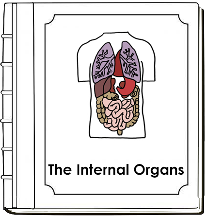 Human Body Internal Organs Nomenclature Book - Montessori Print Shop Digital Download