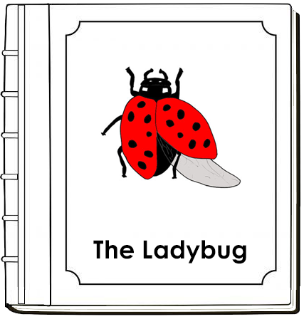 Parts of a Ladybug Nomenclature Book (red) - Montessori Print Shop Digital Download