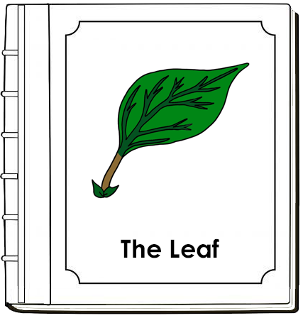 Parts of a Leaf Nomenclature Book (red) - Montessori Print Shop Digital Download