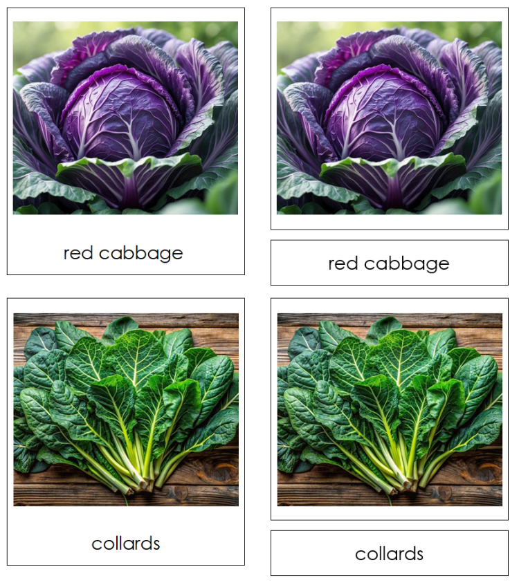 Types of Leaf Vegetable (Set 1) 3-Part Classified Cards - Montessori Print Shop Digital Download