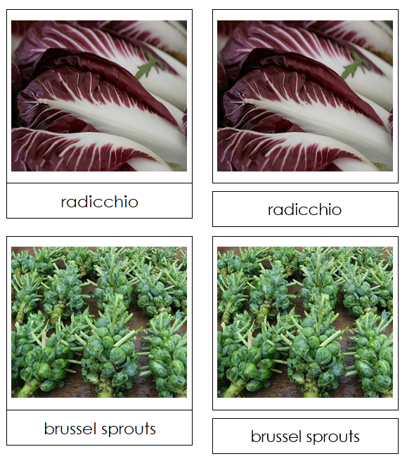 Leaf Vegetable Picture Cards Set 1 - Montessori Print Shop