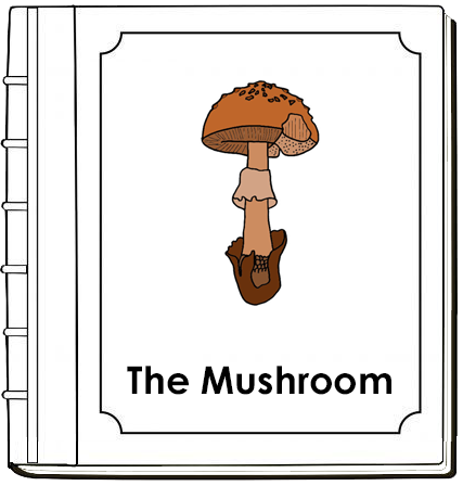 Parts of a Mushroom Nomenclature Book - Montessori Print Shop Digital Download