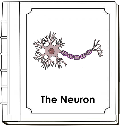 Parts of a Neuron Nomenclature Book - Montessori Print Shop Digital Download