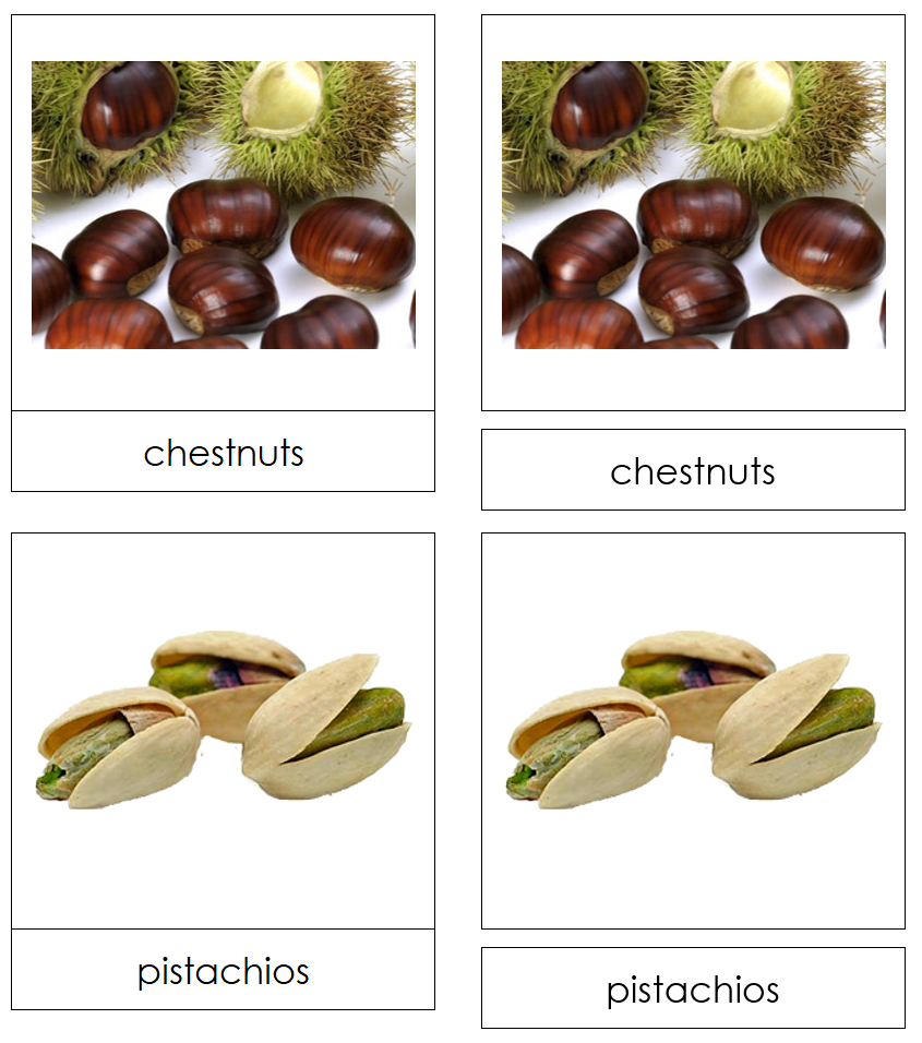 Nut Picture Cards - Montessori Print Shop