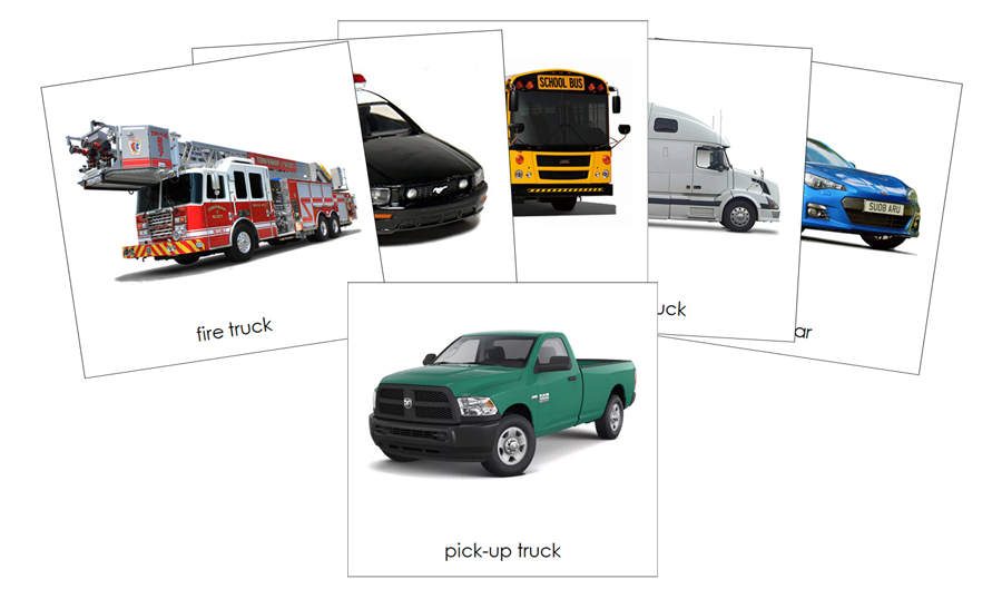 On The Road Safari Toob Cards - Montessori Print Shop