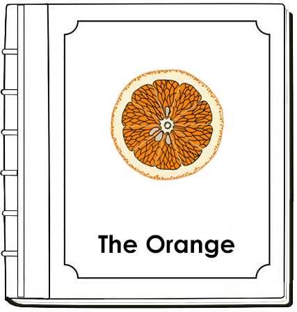 Parts of an Orange Nomenclature Book - Montessori Print Shop Digital Download