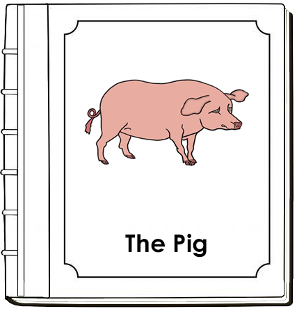 Parts of a Pig Nomenclature Book (red) - Montessori Print Shop Digital Download