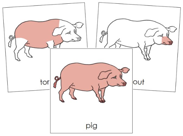 Parts of a Pig 3-Part Nomenclature Cards by Montessori Print Shop