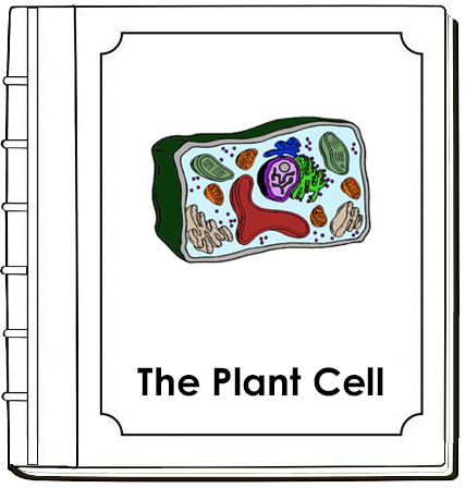 Parts of a Plant Cell Nomenclature Book - Montessori Print Shop Digital Download