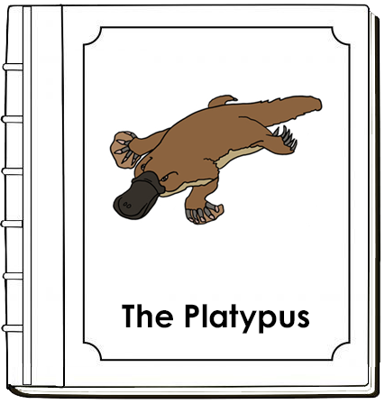 Parts of a Platypus Nomenclature Book (red) - Montessori Print Shop Digital Download