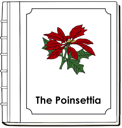 Parts of a Poinsettia Nomenclature Book - Montessori Print Shop Digital Download