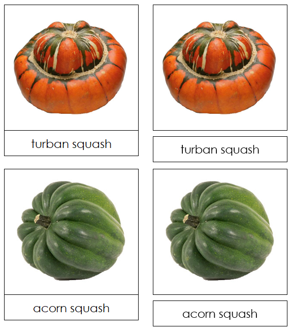 Pumpkin & Squash Picture Cards - Montessori Print Shop