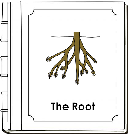 Parts of a Root Nomenclature Book - Montessori Print Shop Digital Download